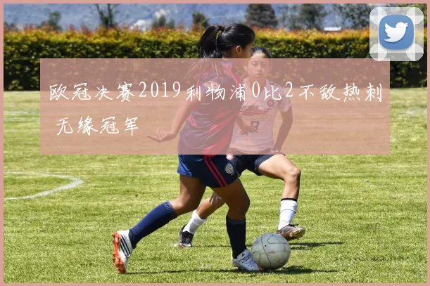 欧冠决赛2019利物浦0比2不敌热刺 无缘冠军