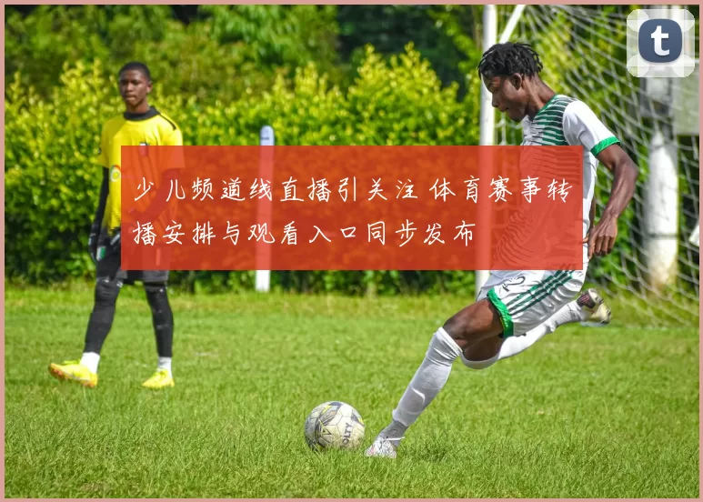 少儿频道线直播引关注 体育赛事转播安排与观看入口同步发布