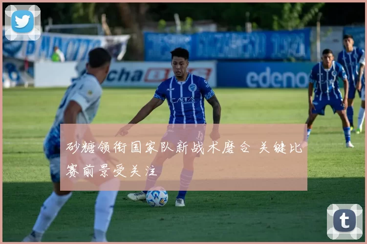 砂糖领衔国家队新战术磨合 关键比赛前景受关注